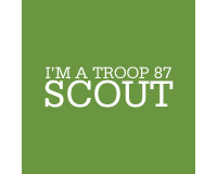 I'm a Scout